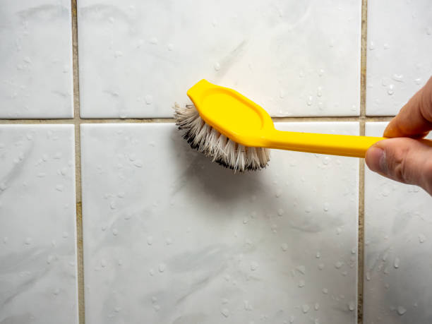 Best Mold Testing  in Brighton, AL